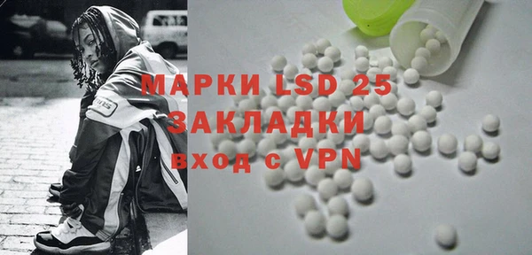 прущие грибы Аркадак