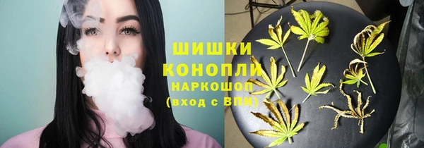 прущие грибы Аркадак