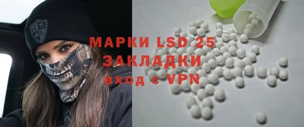 прущие грибы Аркадак
