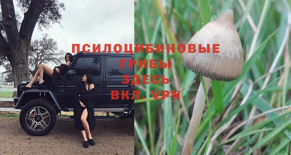 молекула духа Балабаново