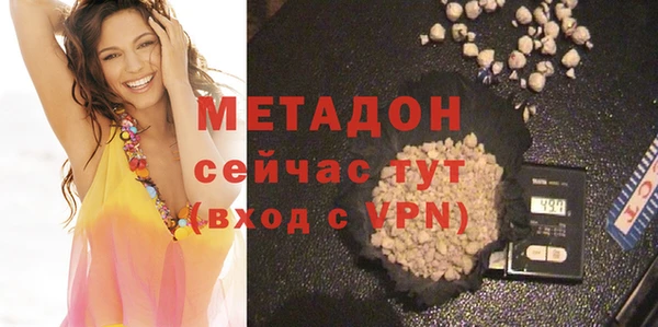 прущие грибы Аркадак