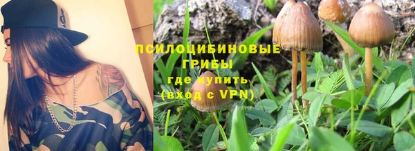 молекула духа Балабаново