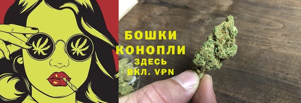 прущие грибы Аркадак