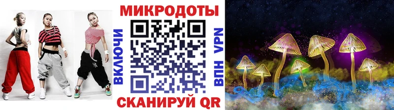 Галлюциногенные грибы Psilocybe  купить наркоту  Биробиджан 